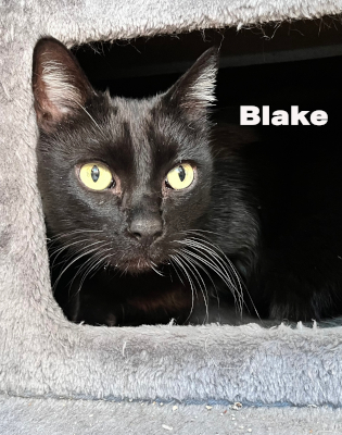 Blake