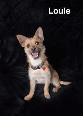 Louie
