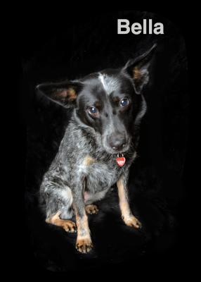 Bella